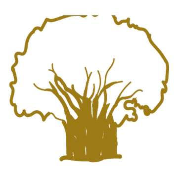 SOO JEED, the baobab